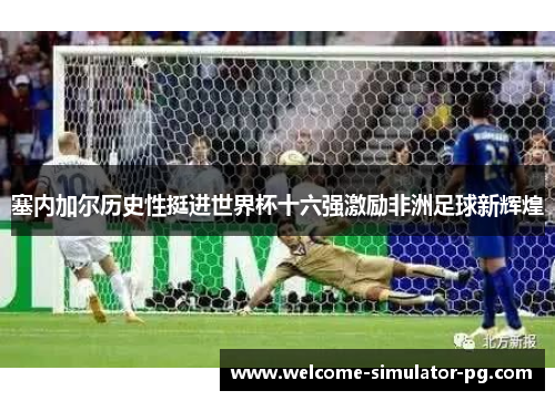 塞内加尔历史性挺进世界杯十六强激励非洲足球新辉煌 塞内加尔历史性挺进世界杯十六强激励非洲足球新辉煌