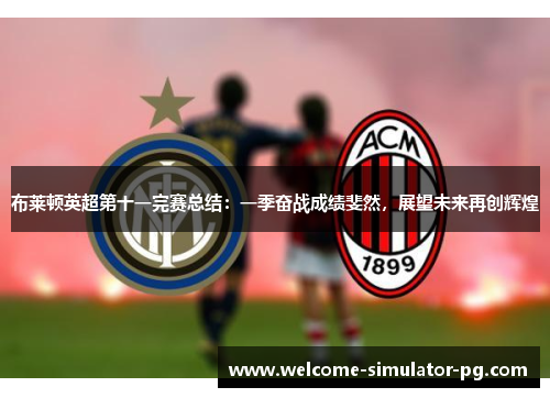 布莱顿英超第十一完赛总结:一季奋战成绩斐然,展望未来再创辉煌 布莱顿英超第十一完赛总结:一季奋战成绩斐然,展望未来再创辉煌