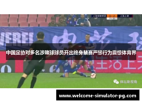 中国足协对多名涉赌球球员开出终身禁赛严惩行为震惊体育界 中国足协对多名涉赌球球员开出终身禁赛严惩行为震惊体育界